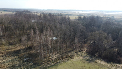 Działka Sprzedaż Żminne