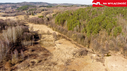 Działka Sprzedaż Ołpiny