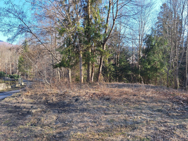 Działka Sprzedaż Zawoja 4