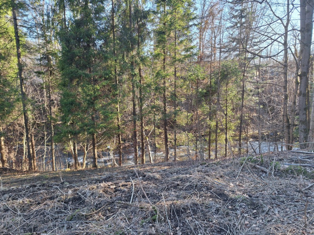 Działka Sprzedaż Zawoja 7