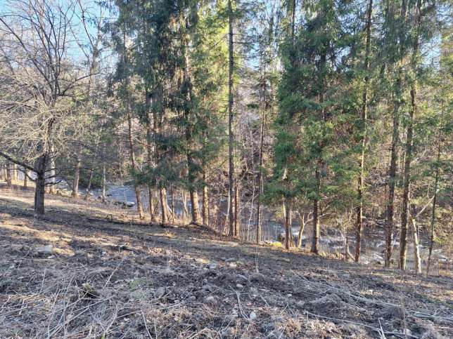 Działka Sprzedaż Zawoja 8