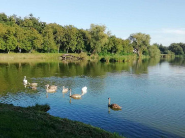 Działka Sprzedaż Klementowice