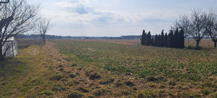 Działka Sprzedaż Radawiec Mały 1