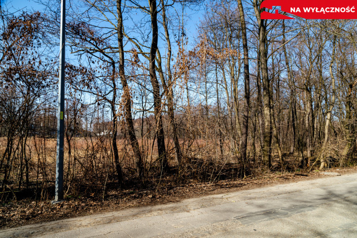 Działka Sprzedaż Tarnów Mokra 8