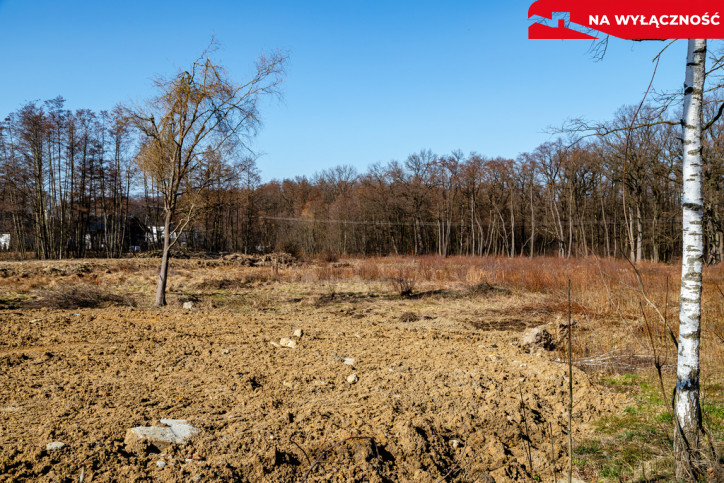 Działka Sprzedaż Tarnów Mokra 4