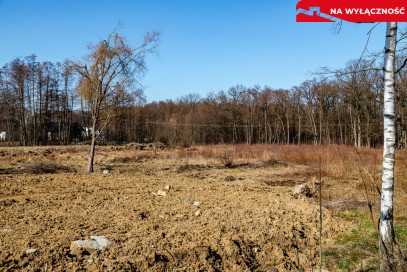 Działka Sprzedaż Tarnów Mokra