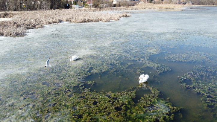 Działka Sprzedaż Klementowice 15