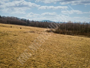 Działka Sprzedaż Budzów