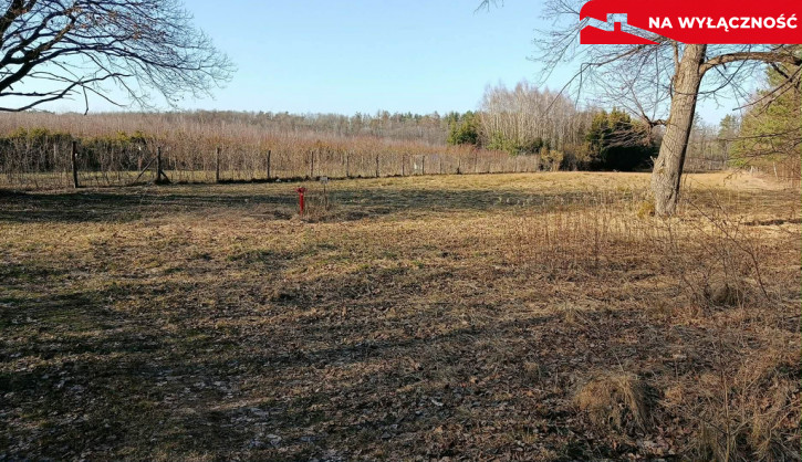 Działka Sprzedaż Krzywe 4