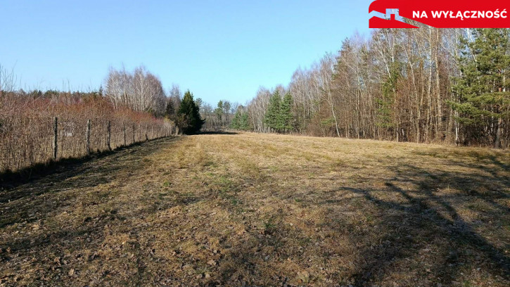 Działka Sprzedaż Krzywe 1