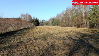 Działka Sprzedaż Krzywe