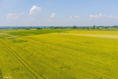 Działka Sprzedaż Szczurowa