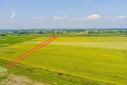 Działka Sprzedaż Szczurowa