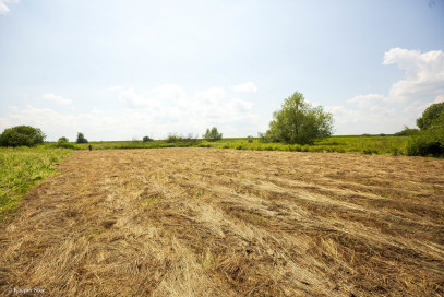 Działka Sprzedaż Zaborów