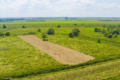 Działka Sprzedaż Zaborów