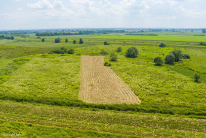 Działka Sprzedaż Zaborów