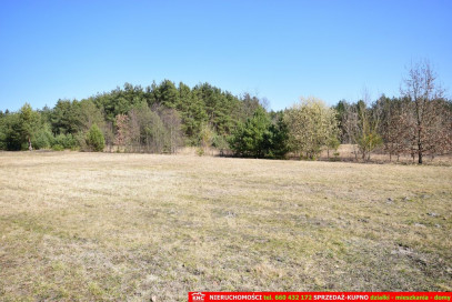 Działka Sprzedaż Plizin
