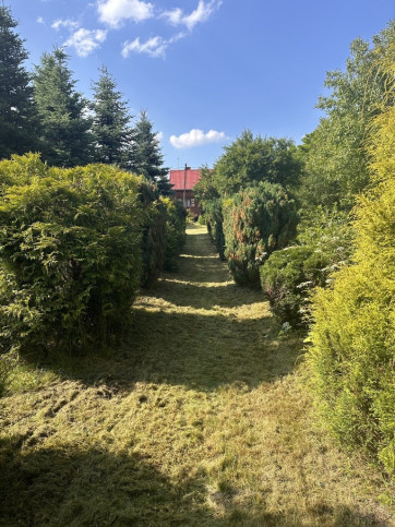 Dom Sprzedaż Lipa-Miklas 20