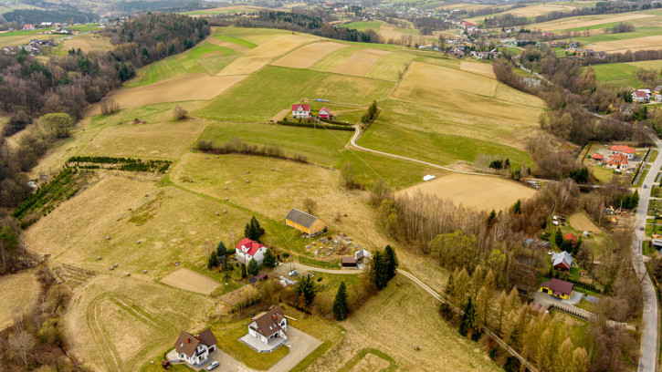 Działka Sprzedaż Jastrzębia 6