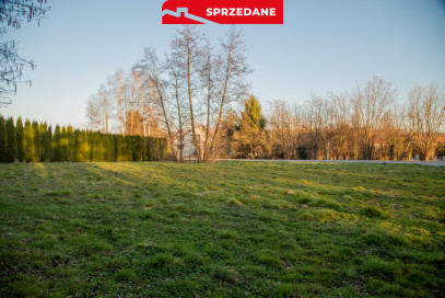 Działka Sprzedaż Rzuchowa