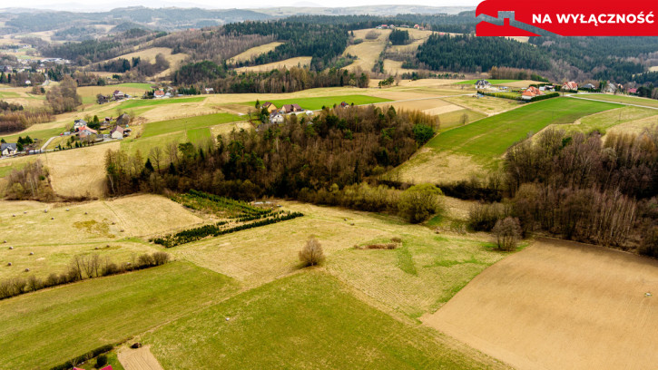 Działka Sprzedaż Jastrzębia 2
