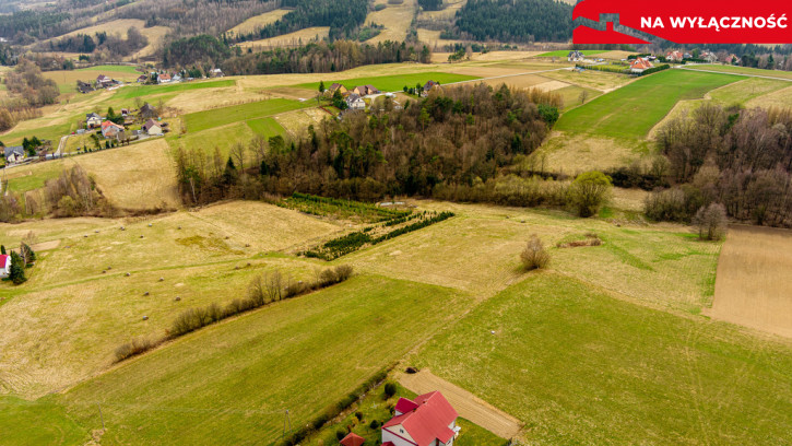 Działka Sprzedaż Jastrzębia 4