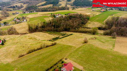 Działka Sprzedaż Jastrzębia