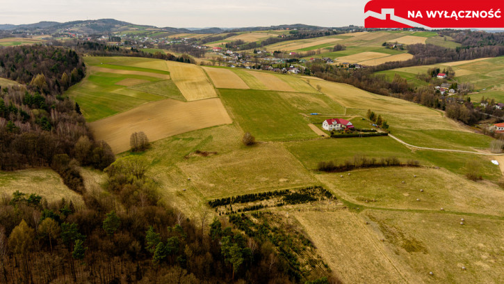 Działka Sprzedaż Jastrzębia 5