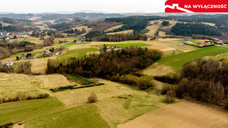 Działka Sprzedaż Jastrzębia 7
