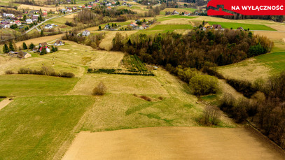 Działka Sprzedaż Jastrzębia