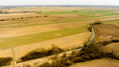 Działka Sprzedaż Rząchowa