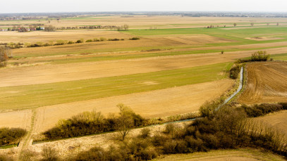 Działka Sprzedaż Rząchowa