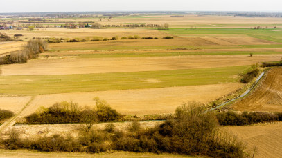 Działka Sprzedaż Rząchowa