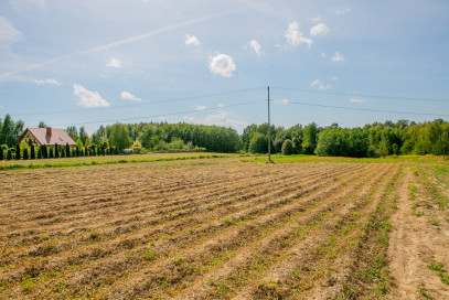 Działka Sprzedaż Poręba Radlna