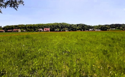 Działka Sprzedaż Rożnów Zagórze