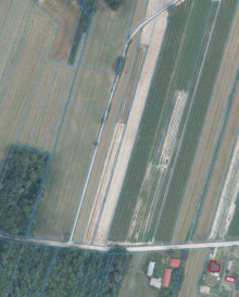 Działka Sprzedaż Bartłomiejowice