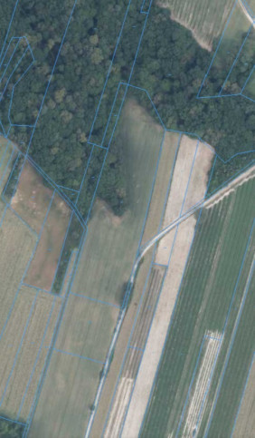 Działka Sprzedaż Bartłomiejowice 1