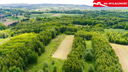 Działka Sprzedaż Skrzyszów