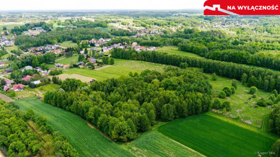 Działka Sprzedaż Skrzyszów