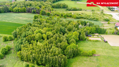 Działka Sprzedaż Skrzyszów