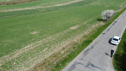 Działka Sprzedaż Wojszyn