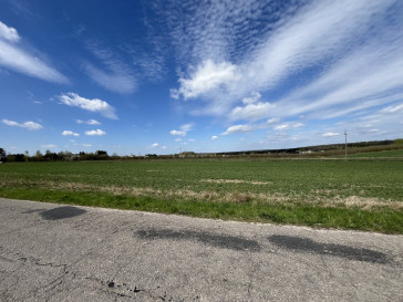 Działka Sprzedaż Wojszyn