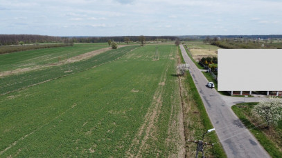 Działka Sprzedaż Wojszyn