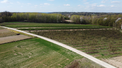 Działka Sprzedaż Kazimierz Dolny Góry Drugie
