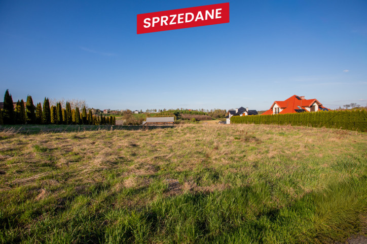 Działka Sprzedaż Lichwin 8