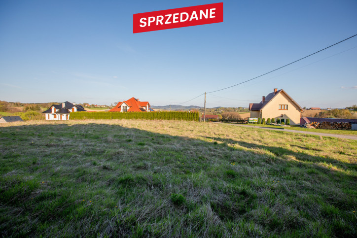 Działka Sprzedaż Lichwin 10