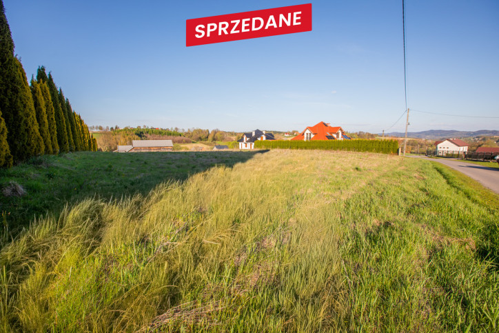 Działka Sprzedaż Lichwin 9