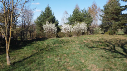 Działka Sprzedaż Borowiec