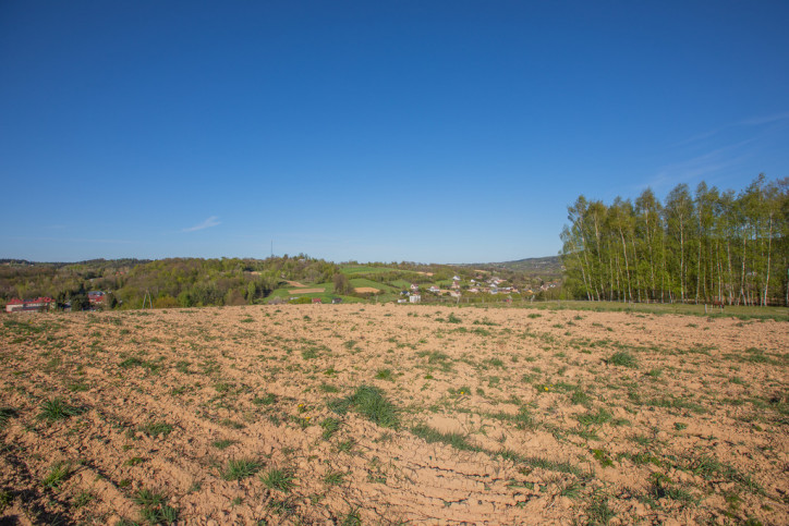 Działka Sprzedaż Siedliska 3
