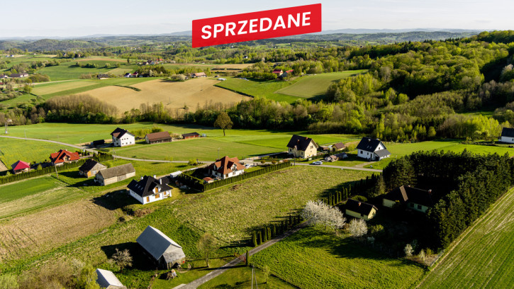 Działka Sprzedaż Lichwin 12